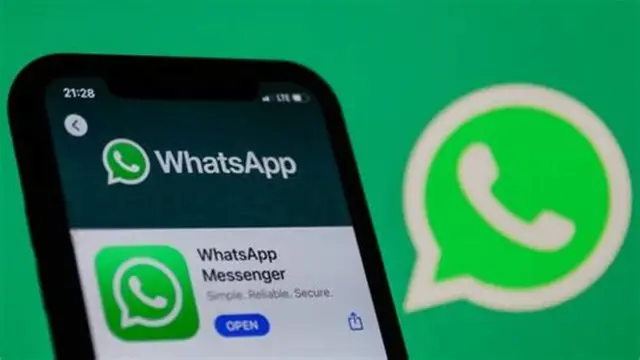 电脑玩WhatsApp必看:官网下载与避坑指南