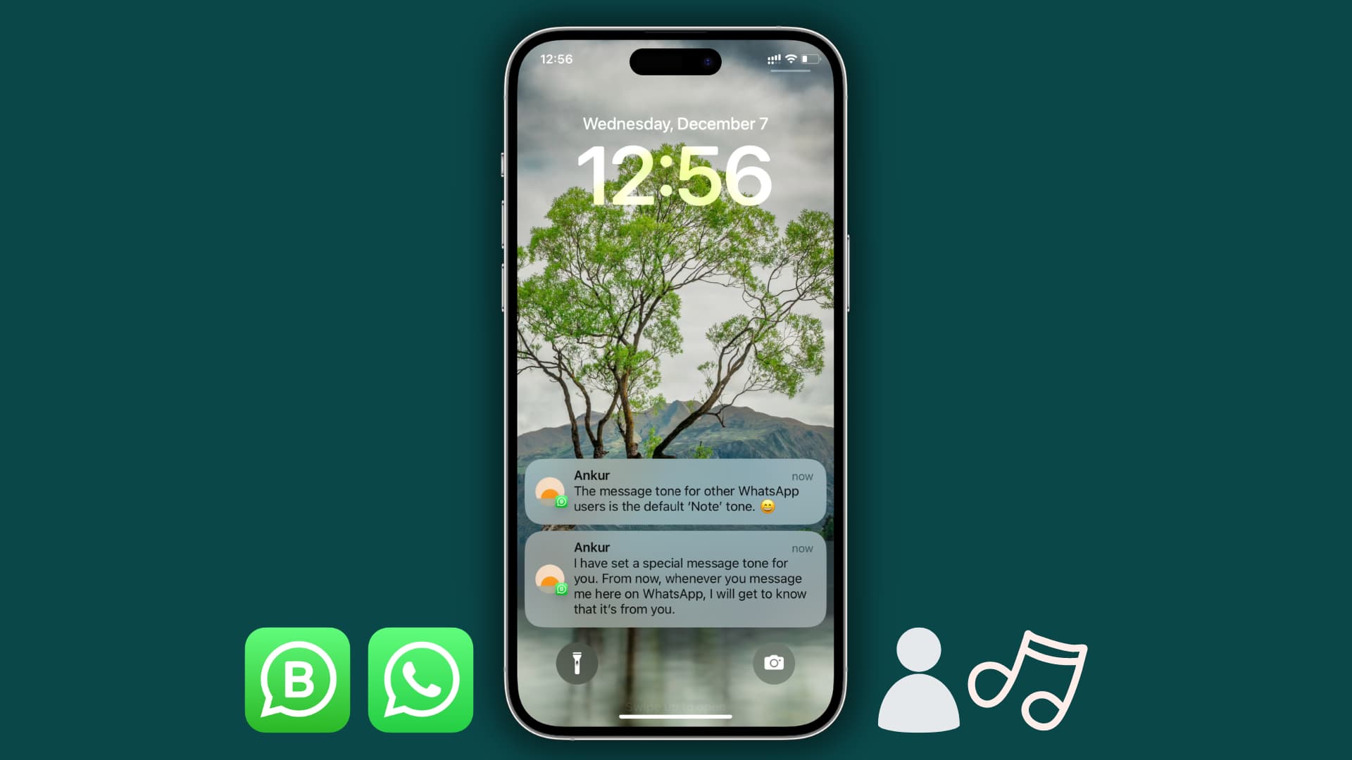 电脑玩转WhatsApp:网页版最全使用手册